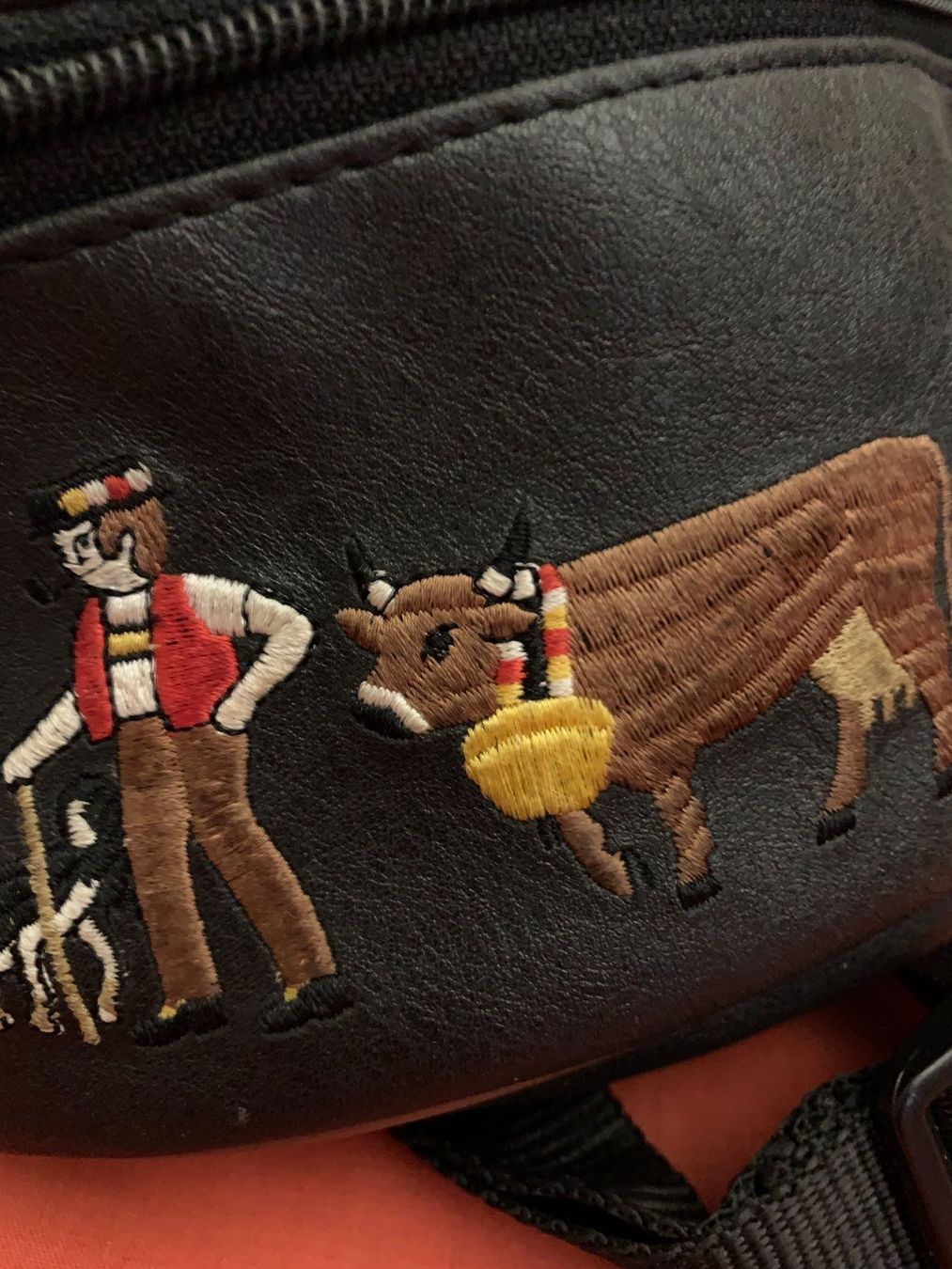 Taschen: Appenzeller Bauchtasche – Gebraucht aus Zürich von benebiene 4