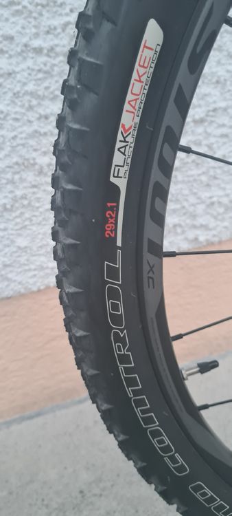 Specialized Vélos: specialized vtt femme – Neuf (Voir description) à Eschert par freegames 5