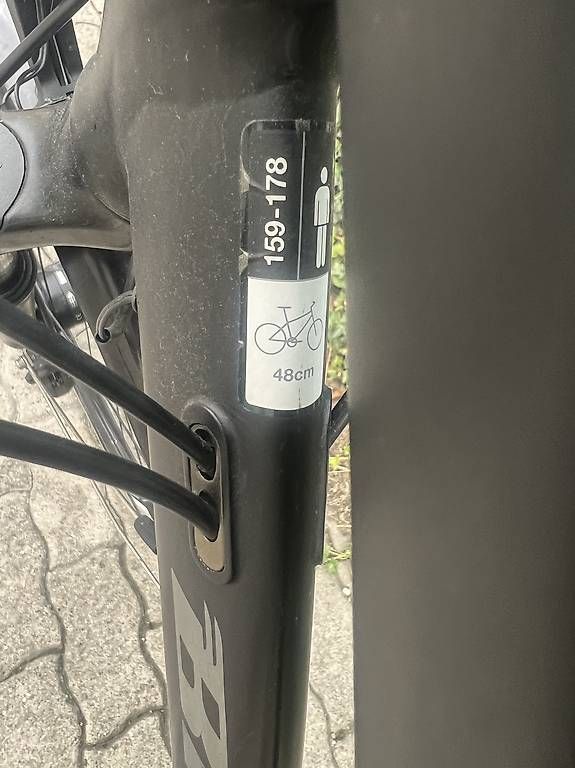 Biciclette: BIXS Damenvelo  – Usato da Chur venduto da PineApplePen 2