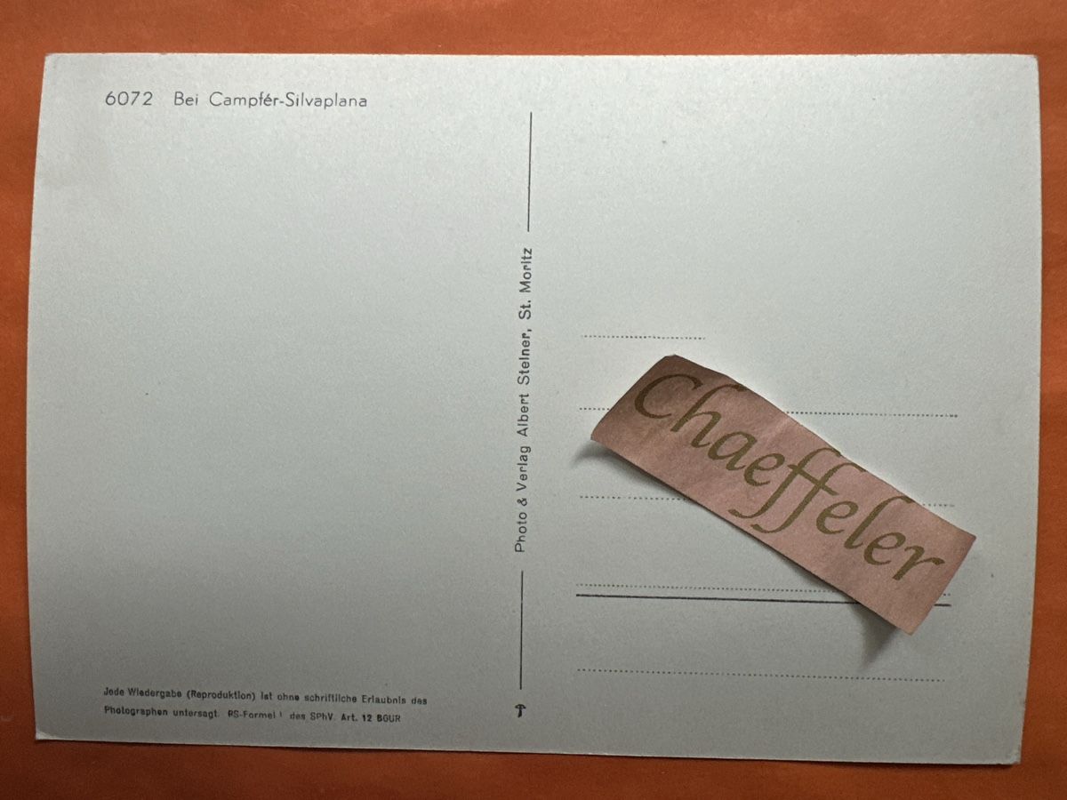 Cartoline postali: Ansichtskarte Bei Campfer-Silvaplana, mit Boot – Usato da Zürich venduto da Chaeffeler 1