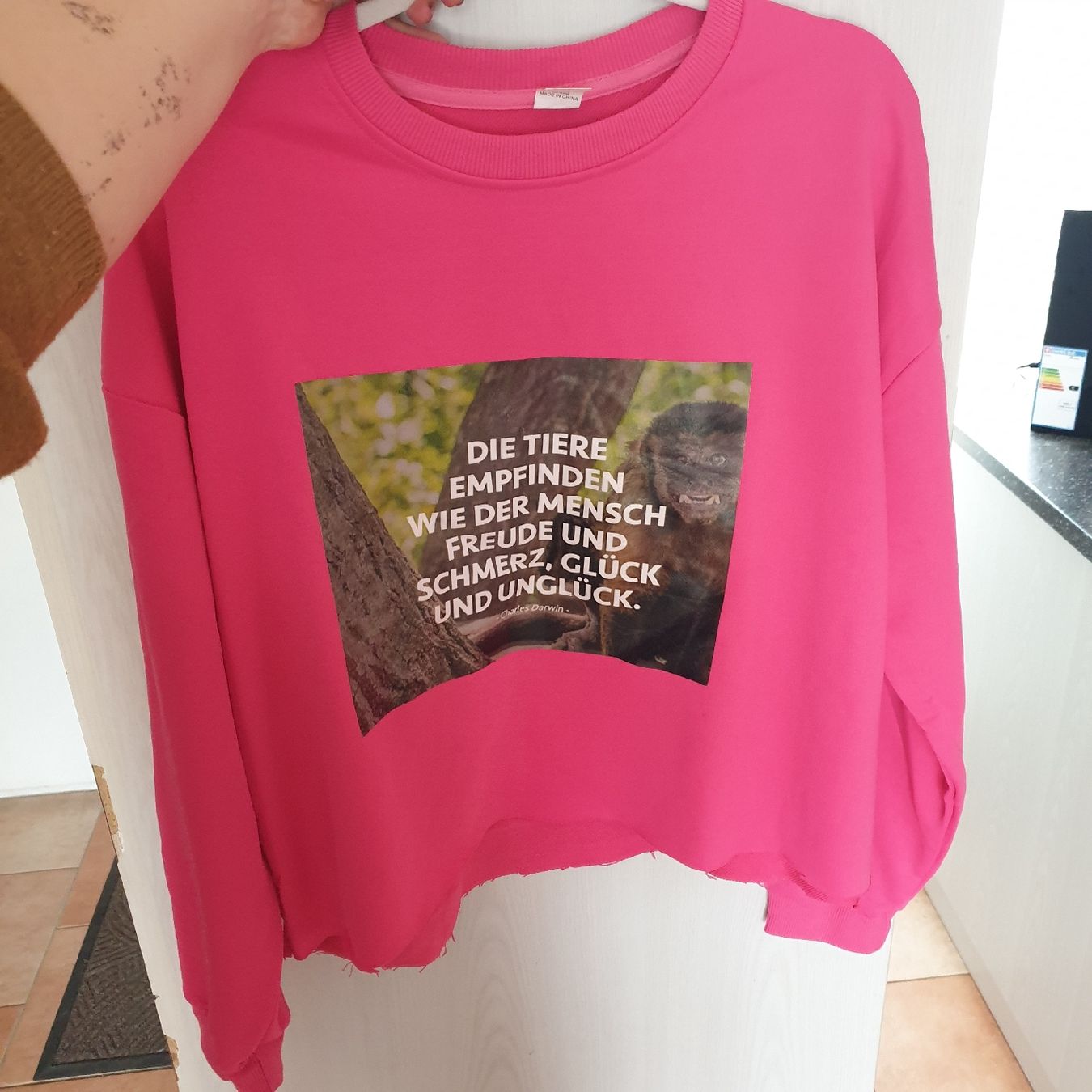 Maglioni & Felpe: Damen Sweatshirt mit Bewusstsein – Usato da Zihlschlacht venduto da Sun25