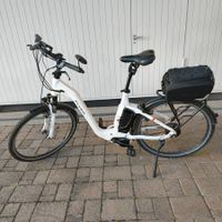 Flyer Gotour 5 7.00