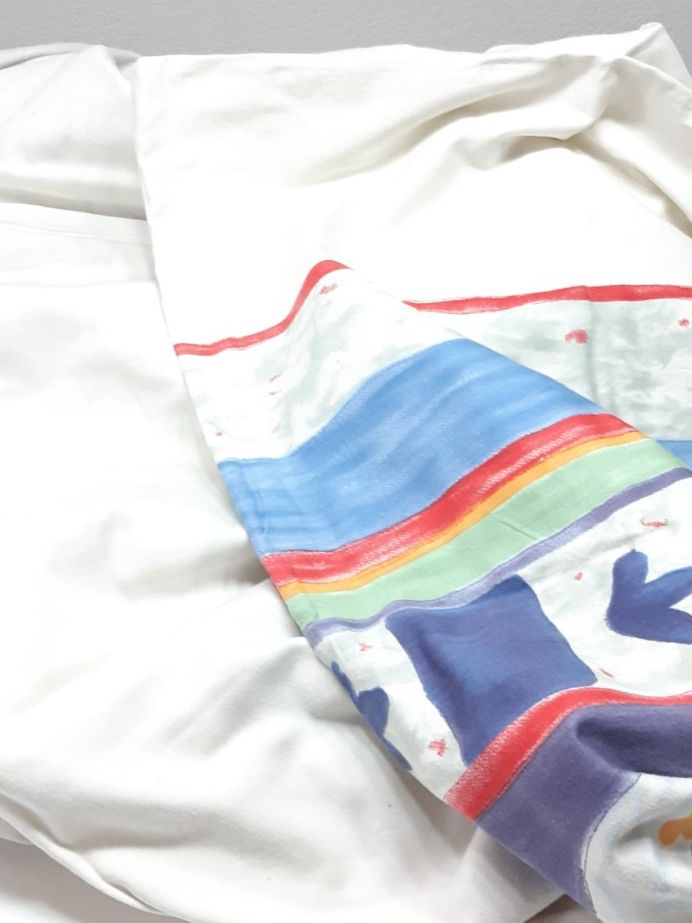 Biancheria da letto: Duvetbezug - Housse de duvet – Usato da Savagnier venduto da Marderuth 2