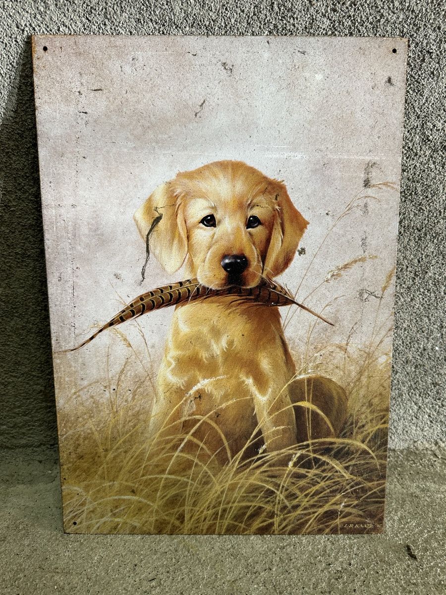 Insegne: Hund Welpe  – Usato da Reinach AG venduto da rares75