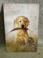 Hund Welpe 