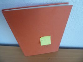 Interessantes Album Europa mit 13 Seiten Inhalt