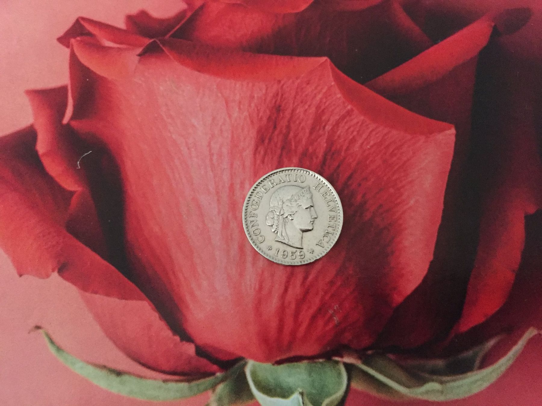Tutti le monete: 5 Rappen 1959 -vz – Usato da Elsau venduto da herbybay 3
