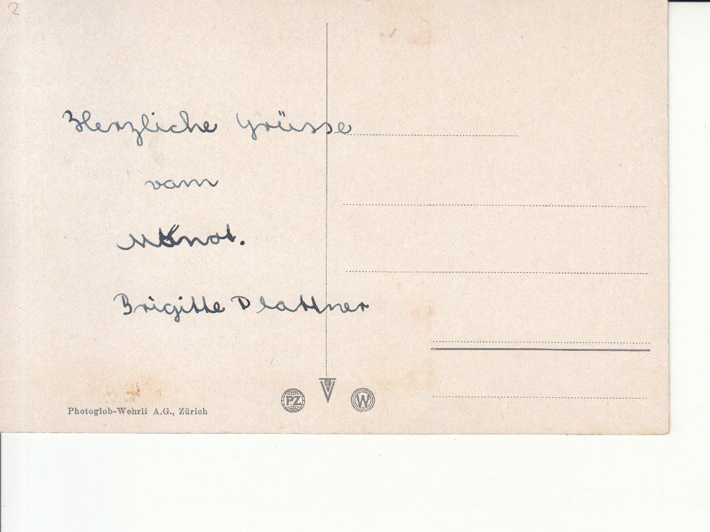 Cartoline postali: Schaffhausen ca. 1910 – Usato da Bürglen TG venduto da StampGraf 1