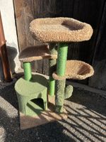 Katzenbaum