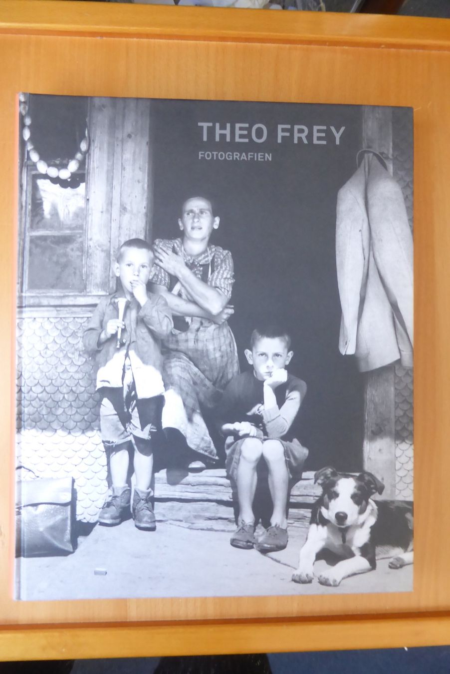 Libri: Theo Frey - Fotografien – Nuovo (secondo la descrizione) da Brunnadern venduto da lesezirkel