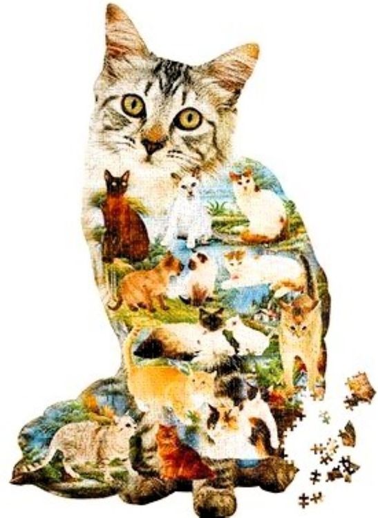 1000-teiliges Premium-Puzzle Mit Katzen, 75x50 Cm, Einzigartige Teile, Familienspiel Für Erwachsene