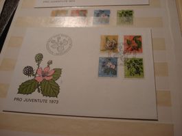 Pro Juventute 1973, FDC + Satz Lose o