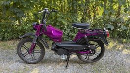 KTM Pony 