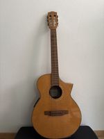 Ibanez Halb-Akustische Gitarre