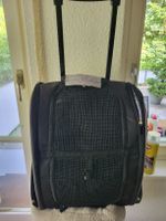 Katzen transportiert Rucksack neu schwarz 