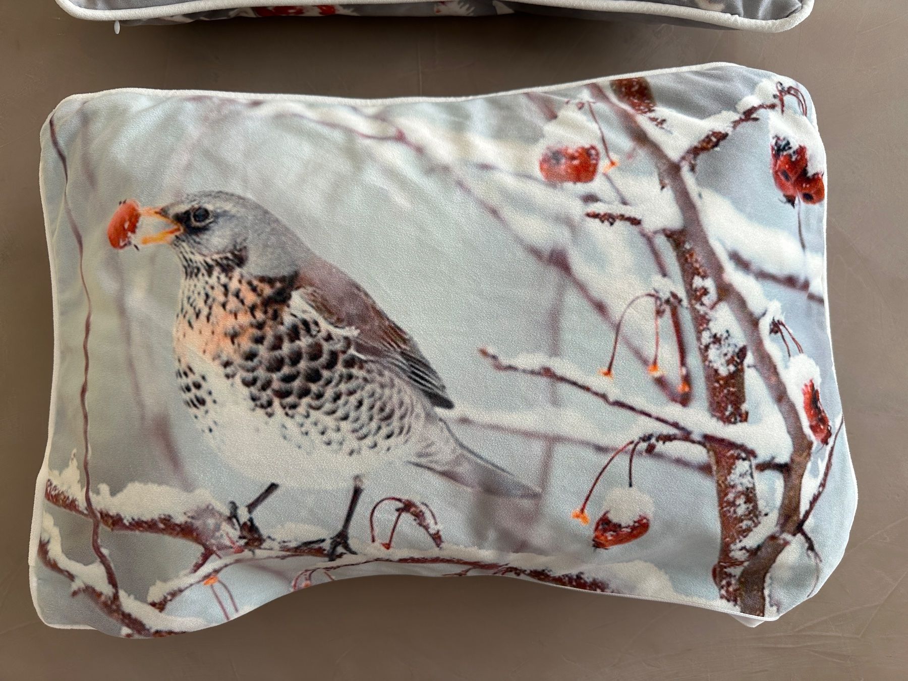 Cuscini: 2er Set Kissen mit Vogelmotiven – Nuovo (secondo la descrizione) da Herisau venduto da Rita_S. 1