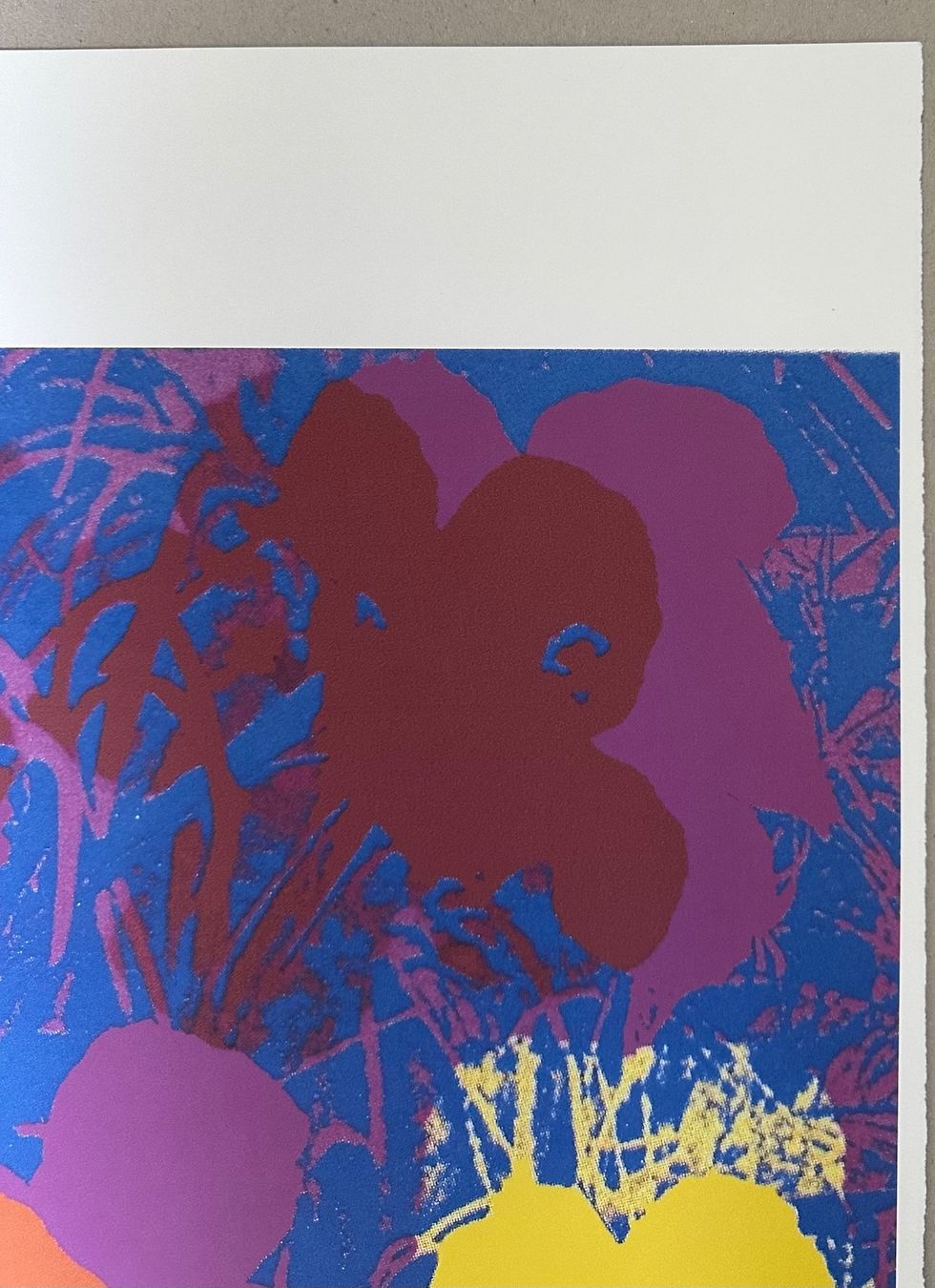 Foto & Immagini: Andy Warhol: Flowers, POP Art 92/100 – Nuovo (secondo la descrizione) da Meilen venduto da Smgdesign 4