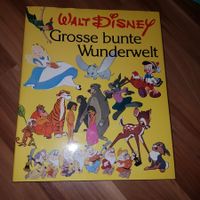 Walt Disney Grosse bunte Wunderwelt B26