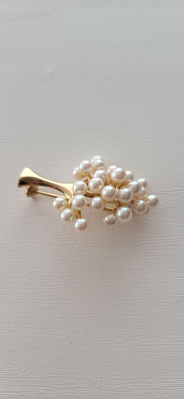 Anhänger: Fantastisch schöner Anhänger/ Perlenbrosche  – Neu (gemäss Beschreibung) aus Unterägeri von Altgoldschmuck