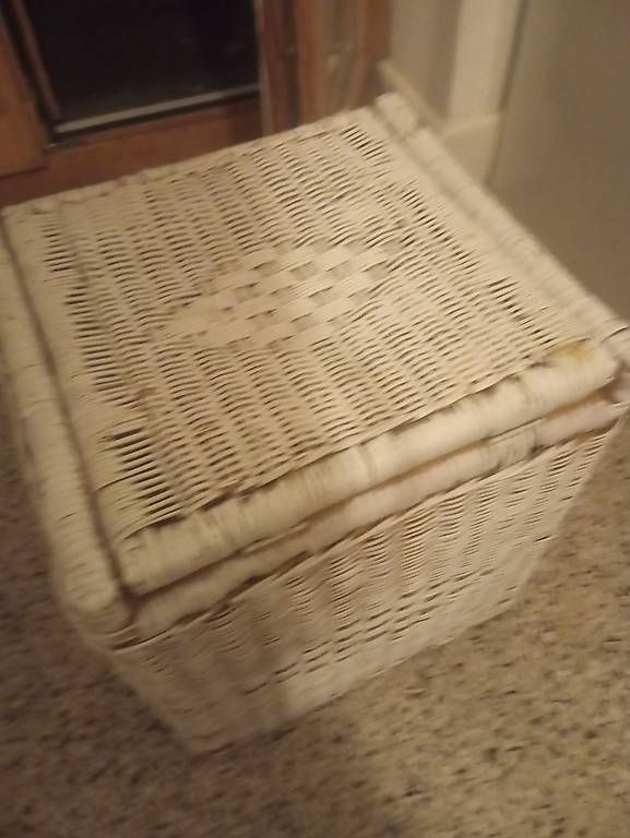 Truhen: Rattan Sitz/ Truhe – Gebraucht aus Basel von Petergunn 3