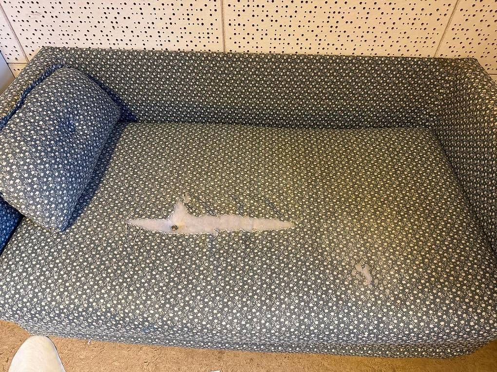 Divani: Ausziehsofa - gratis abzugeben – Usato da Lenzburg venduto da SilvanZurich 4