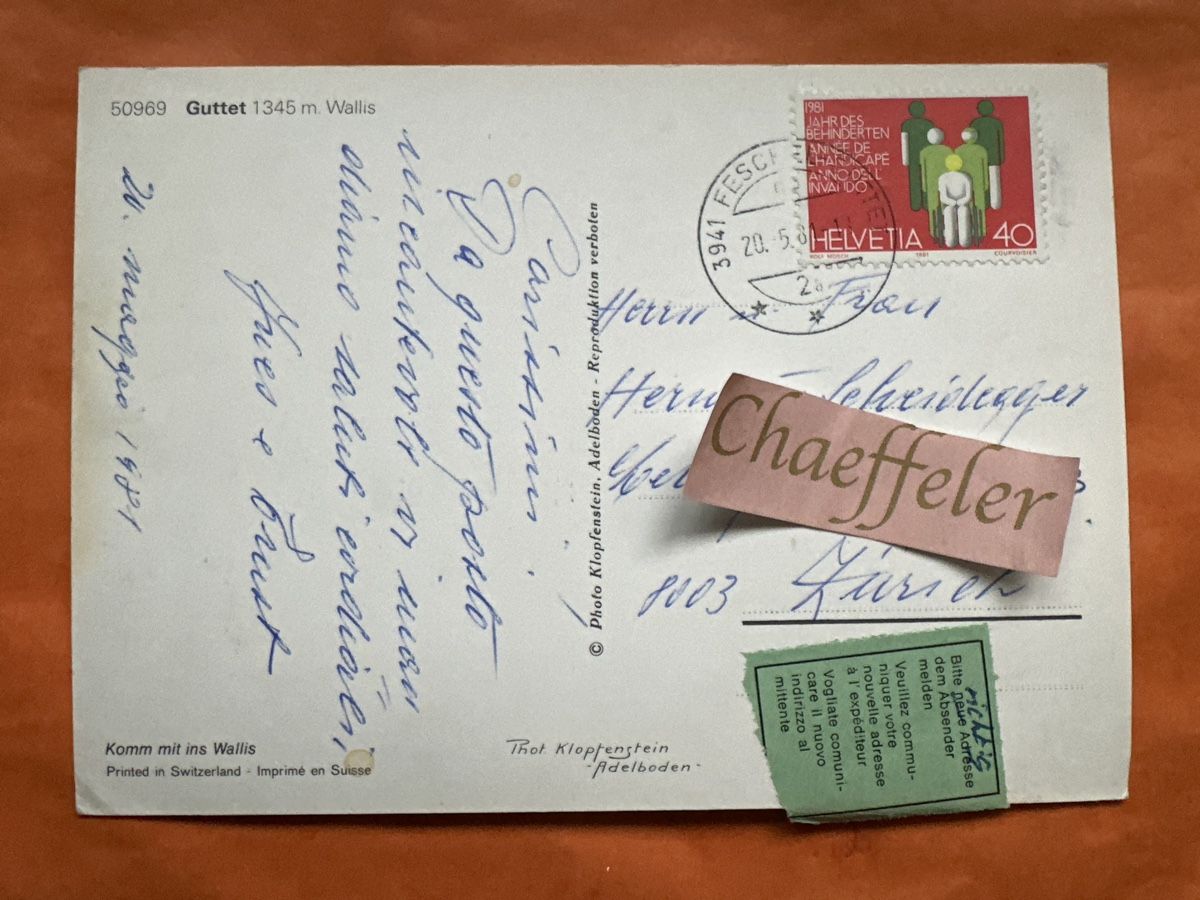 Cartoline postali: 1981  Guttet Wallis, frankiert – Usato da Zürich venduto da Chaeffeler 1