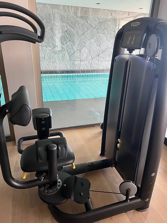 Technogym Hometrainer: Technogym Rotary Torso Selection (Anthrazit)  wie neu – Usato da Horw venduto da Marco1t