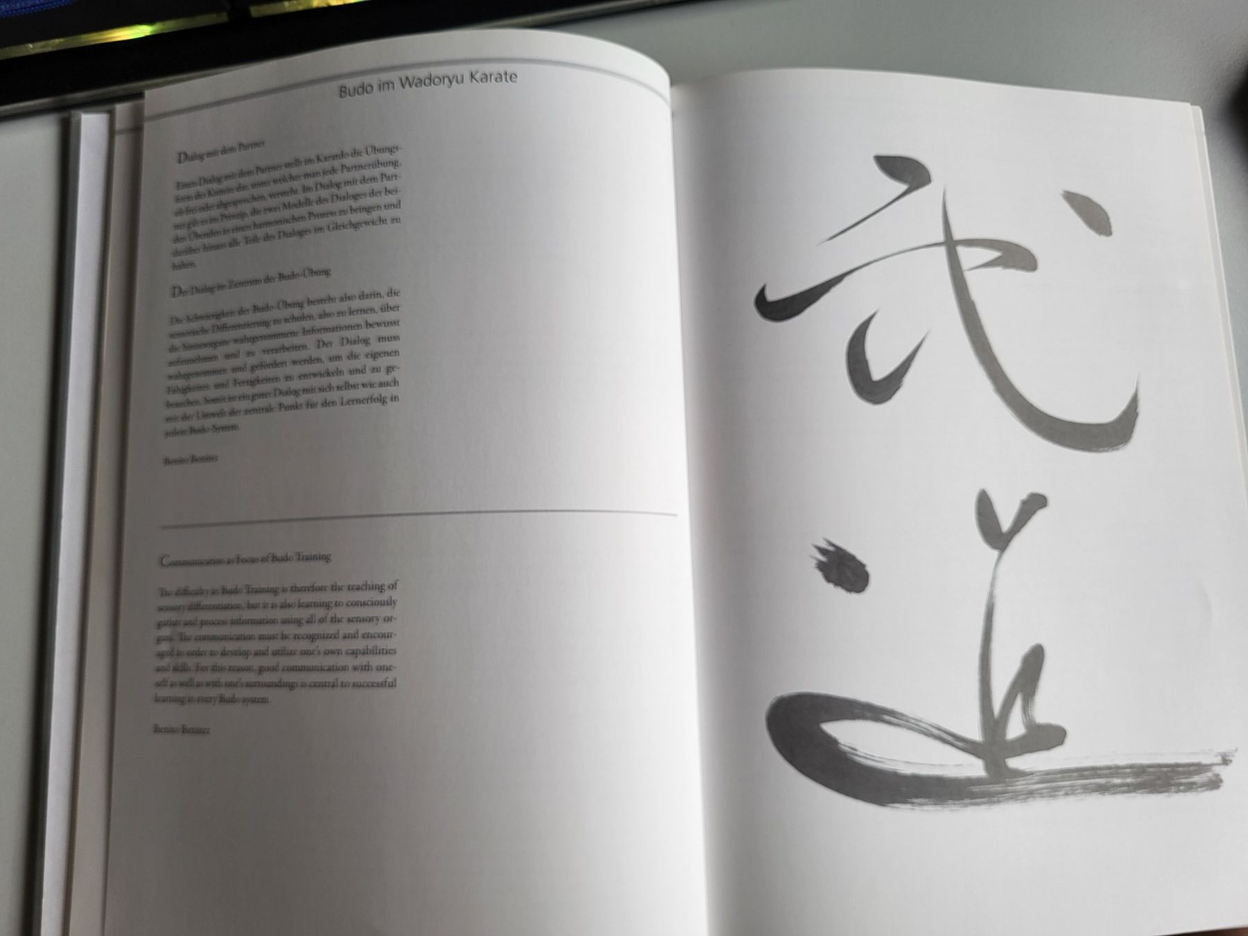 Libri: Wado Ryu Karate Buch von Roberto Danubio – Usato da Rifferswil venduto da Jchb 1