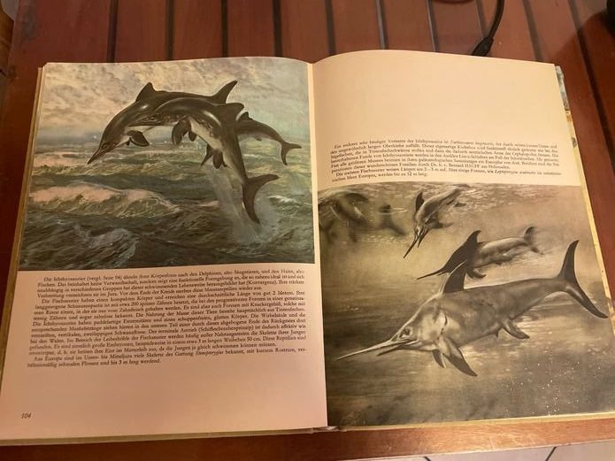 Libri: Leben in der Urzeit – Usato da Bergdietikon venduto da Book-4-you_2nd 1