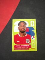 Panini FIFA WM 2026 Sticker - PAN 6