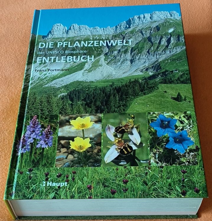 Die Geheimnisse Der Pflanzenwelt Entdecke Die Faszinierenden Pflanzen Mit C
