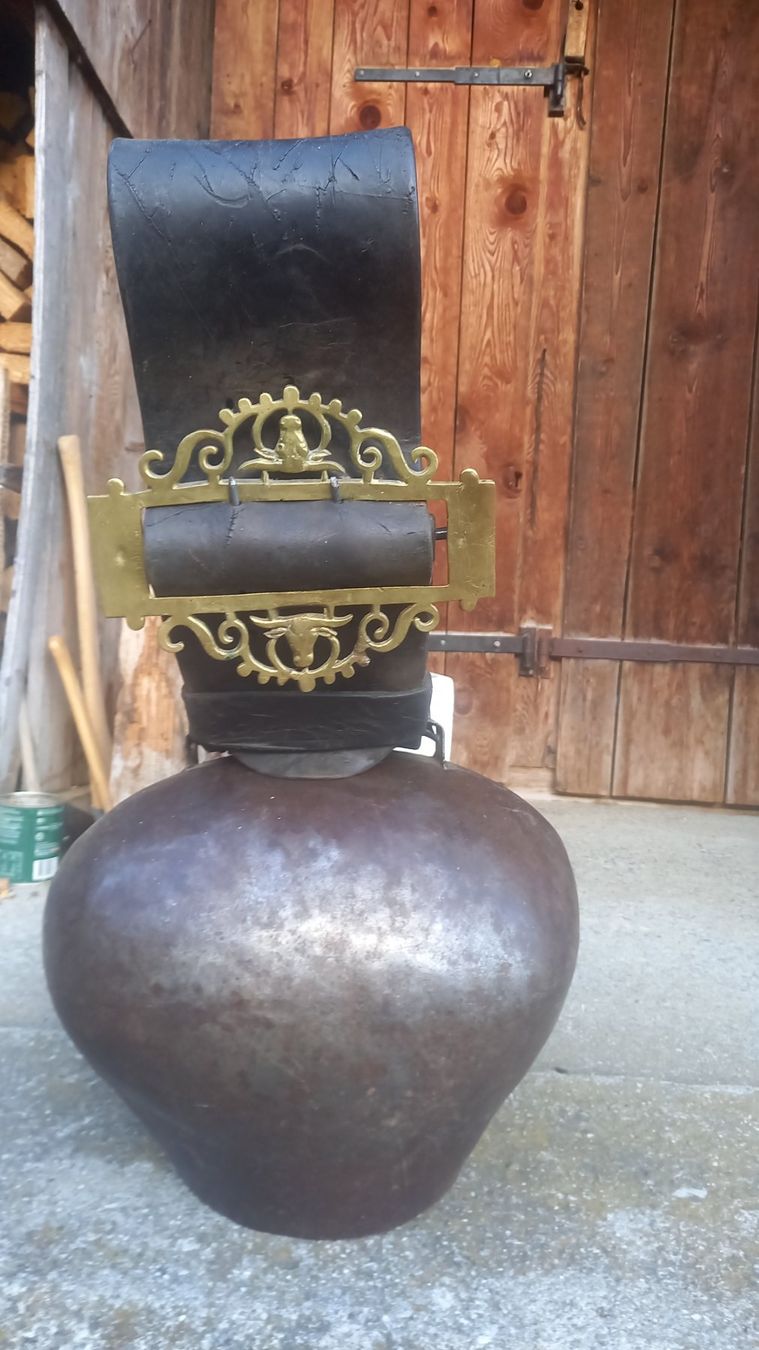 Campanacci mucche: Alte Viglino Treichel – Usato da Achseten venduto da sma_659k