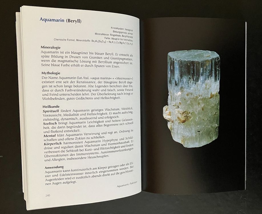 Libri: die steinheilkunde . das handbuch . michael gienger – Usato da Allschwil venduto da rotocker 4