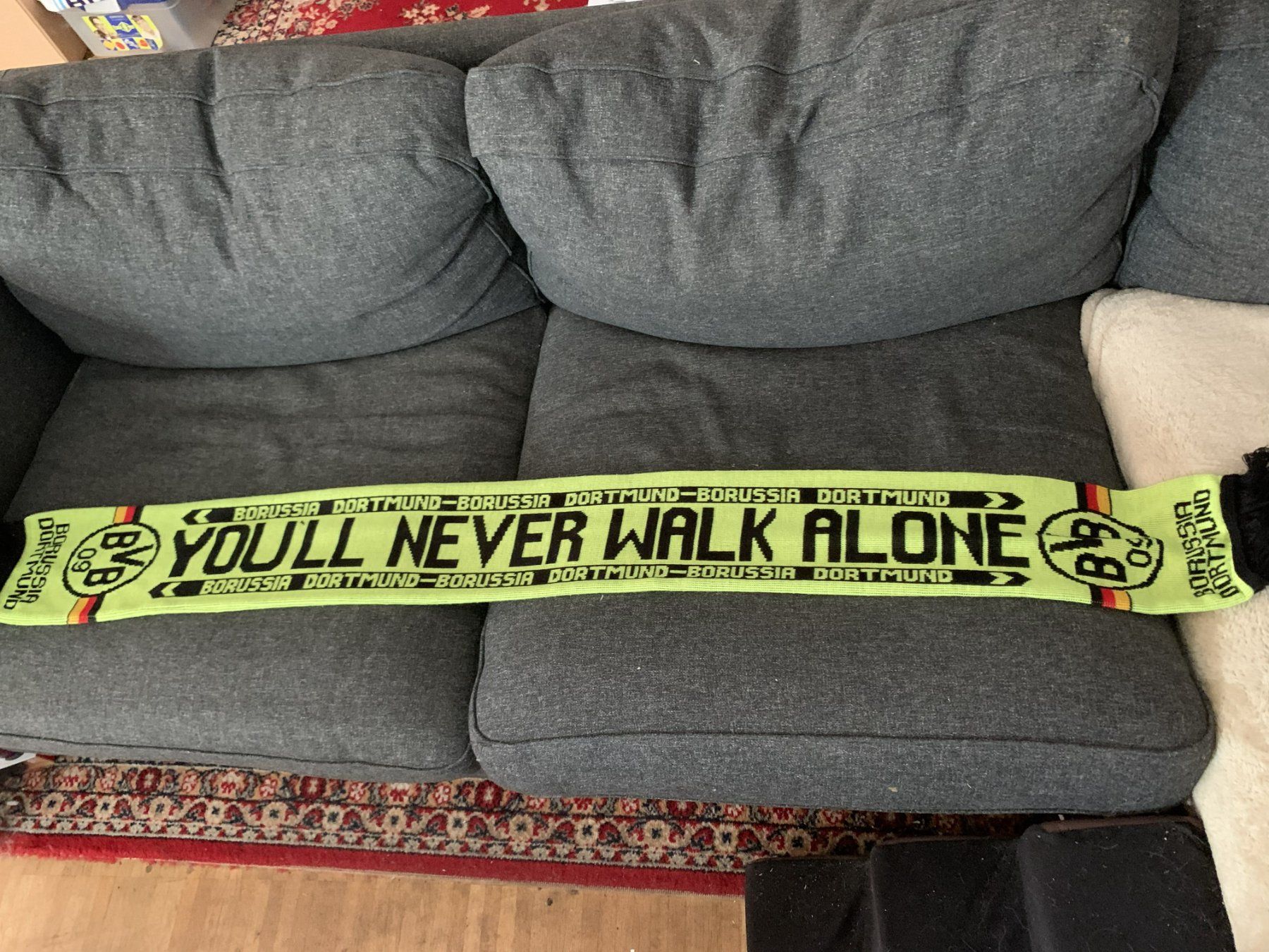 Foulard & Sciarpe: BVB Borussia Dortmund Fan-Schal – Usato da Reinach BL venduto da jessihome
