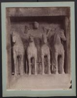 Fotografie Palermo, Museo La Quadriga, G
