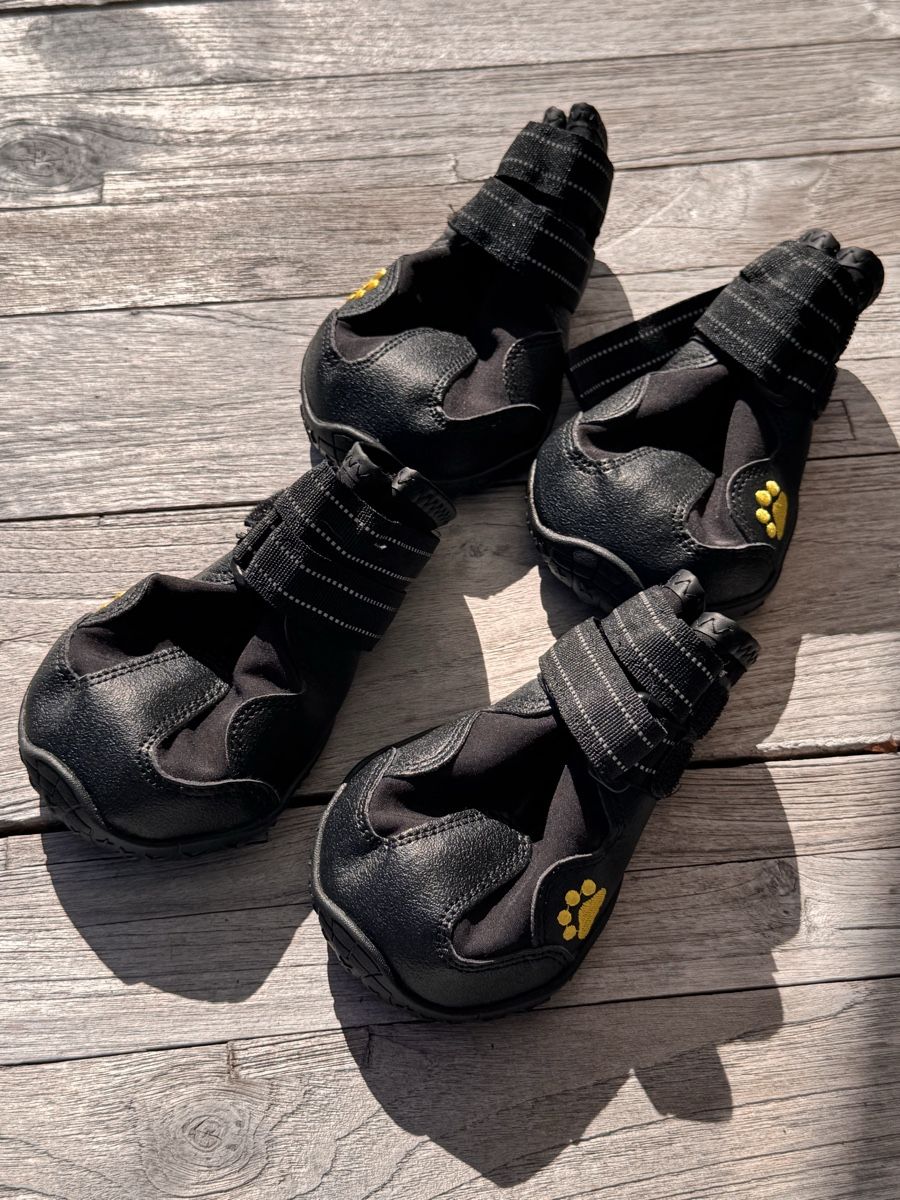 Vêtements: Hundeschuhe schwarz 4er Set – Neuf (Voir description) à Grüningen par stellagolightly