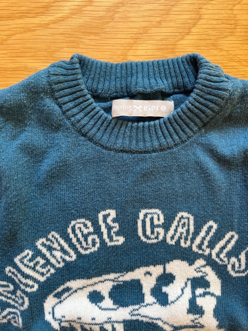 Maglioni & Felpe: Hering Brasil Baby Pullover, Gr. 80 – Usato da Interlaken venduto da fbnscl 1