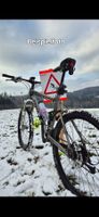 Trek Mountainbike Top Zustand L/XL