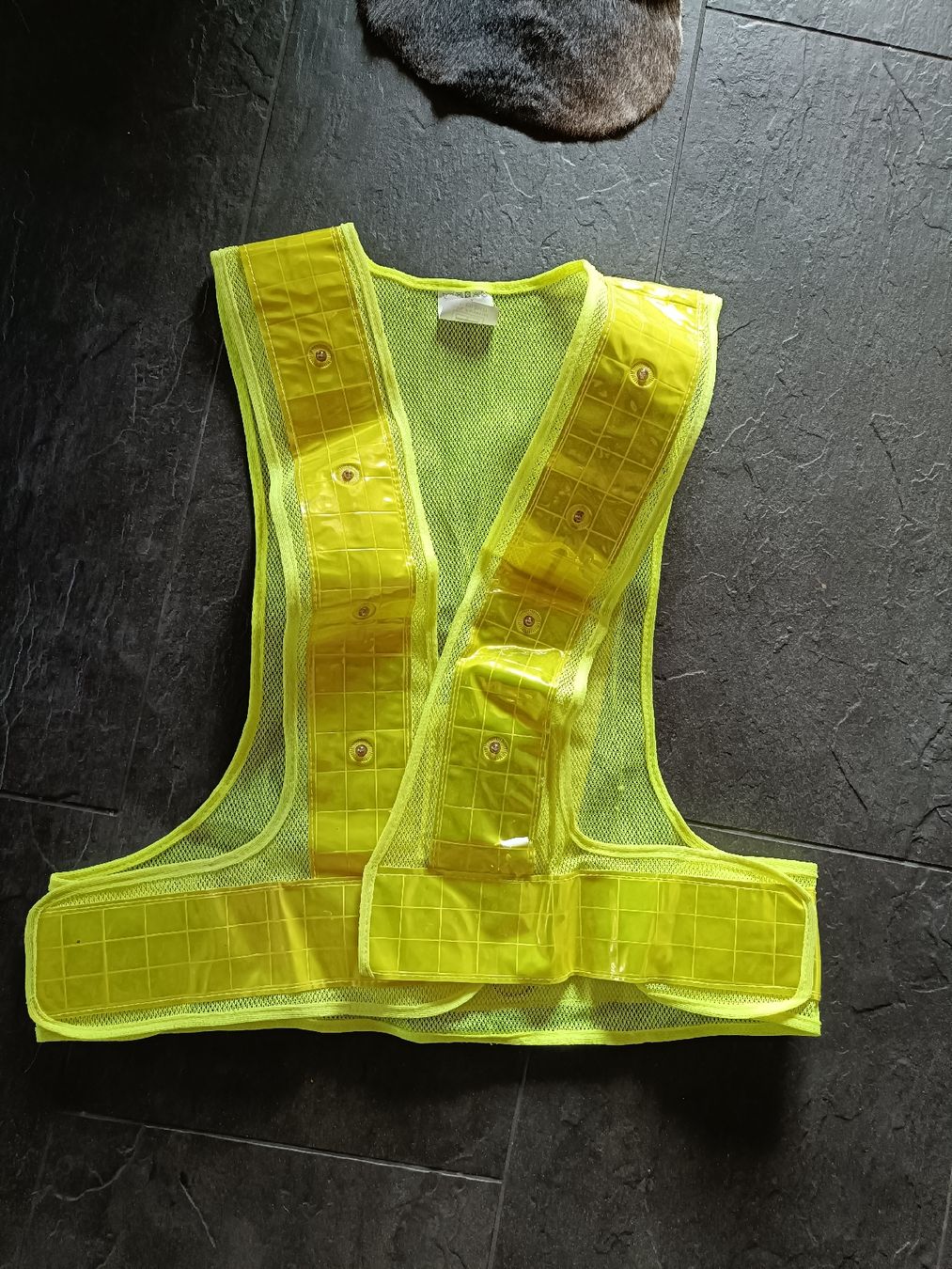 Felix Bühler Gilet & Giacche: reitweste leuchtweste mit licht – Usato da Leissigen venduto da Gertsch_ 1