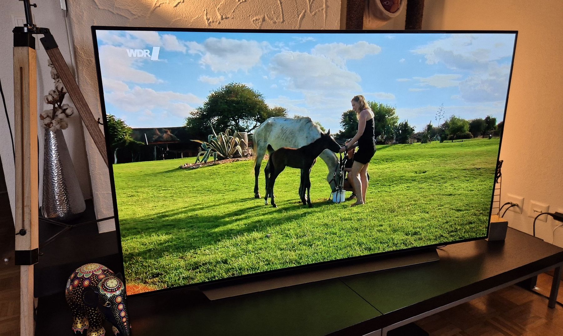 LG Televisori: LG OLED65CX TV – Usato da Rapperswil SG venduto da bluelime 5