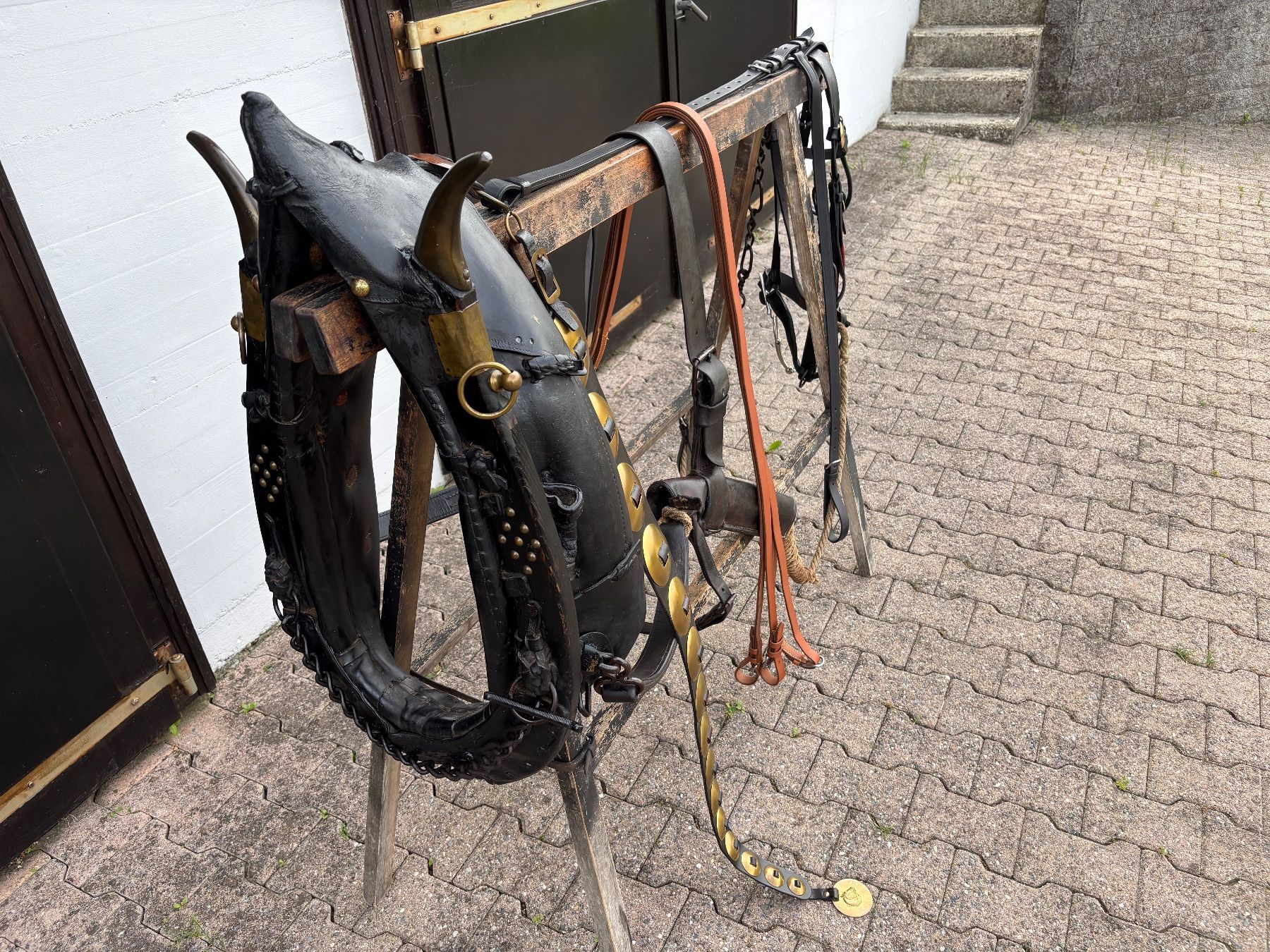 Carrozze: Ostschweizer / Appenzeller Pferdegeschirr – Usato da Feldbach venduto da Fea1 2