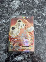 Pokémon Camerupt EX 146/160