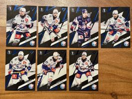 SportZoo Playoffs x/60 ZSC Lions
