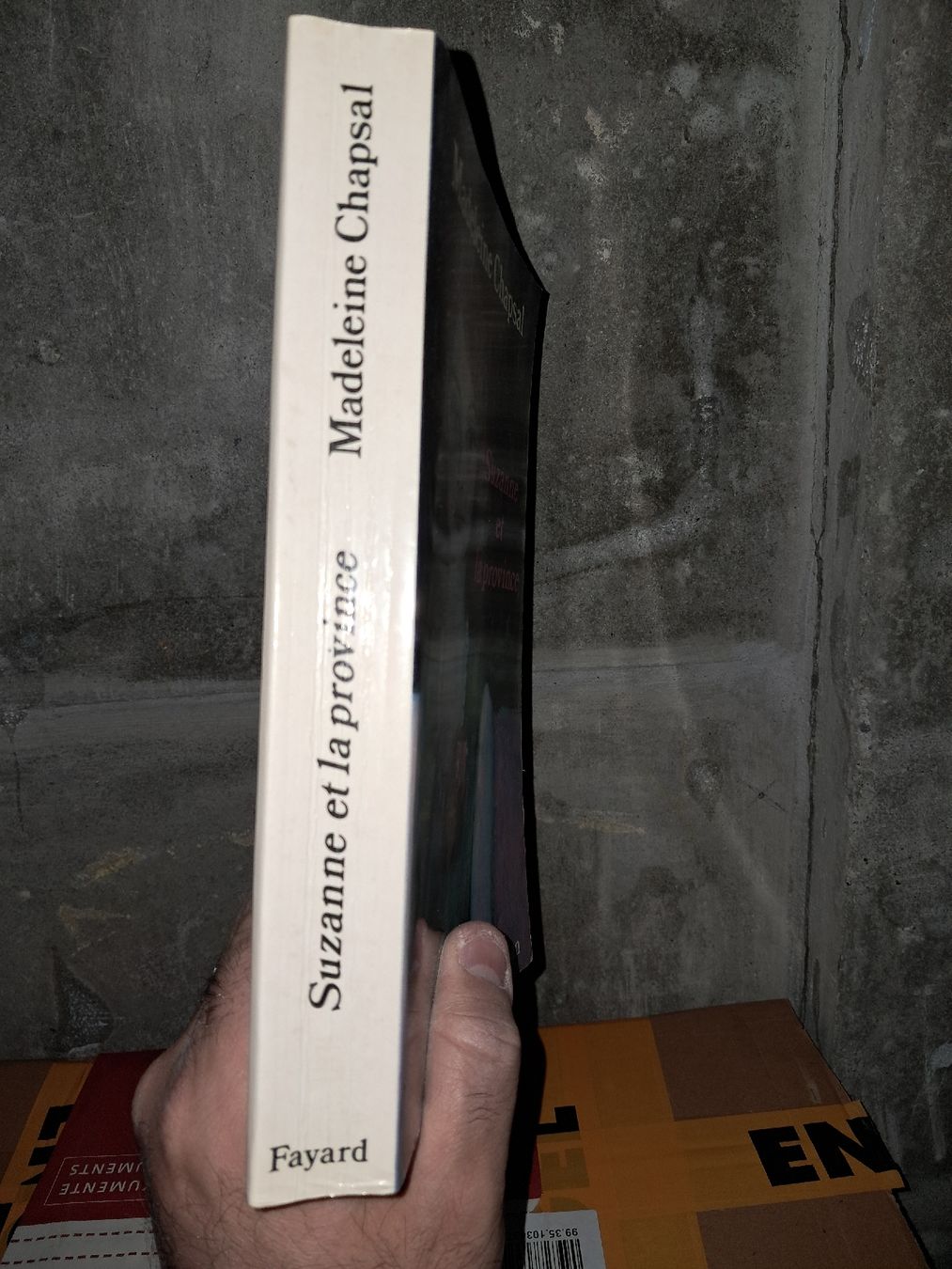 Libri: Madeleine Chapsal Suzanne et la province – Usato da Le locle venduto da juliensaran 3