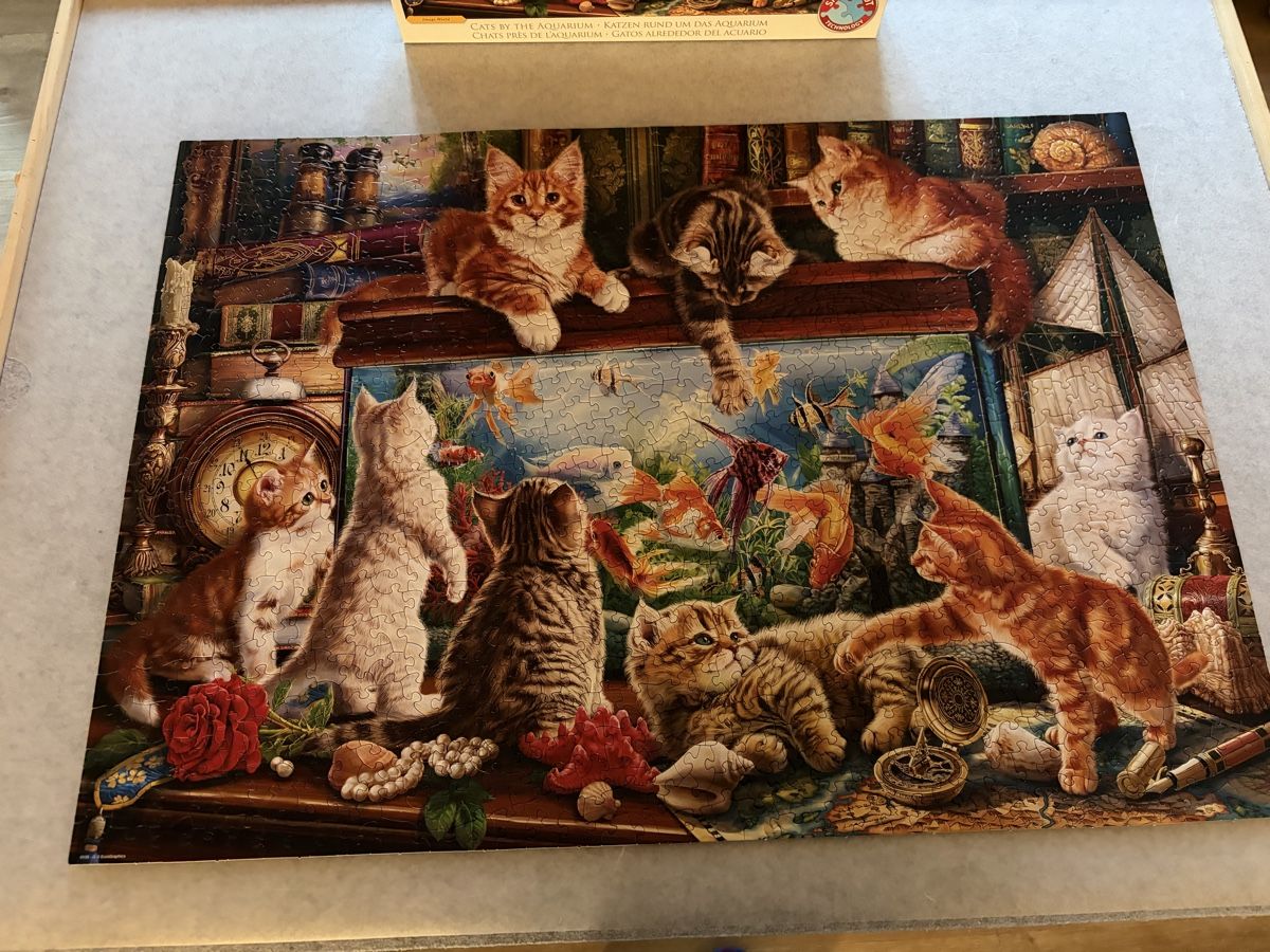 Puzzles: Puzzle Katzen 1000 Teile – Gebraucht aus Laupersdorf von eliza23 1