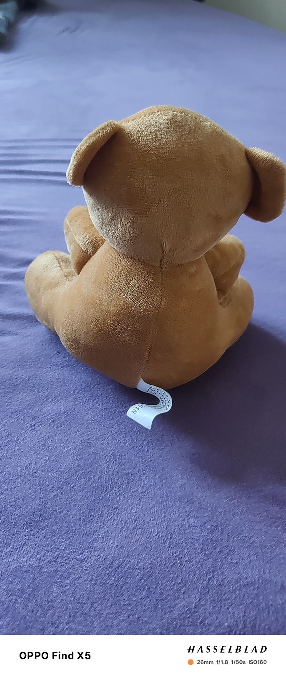 Spielzeuge: Smile Teddy mit Herz – Gebraucht aus Unterentfelden von igs_nj72 4