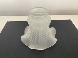 Lampenglas Vintage Style
