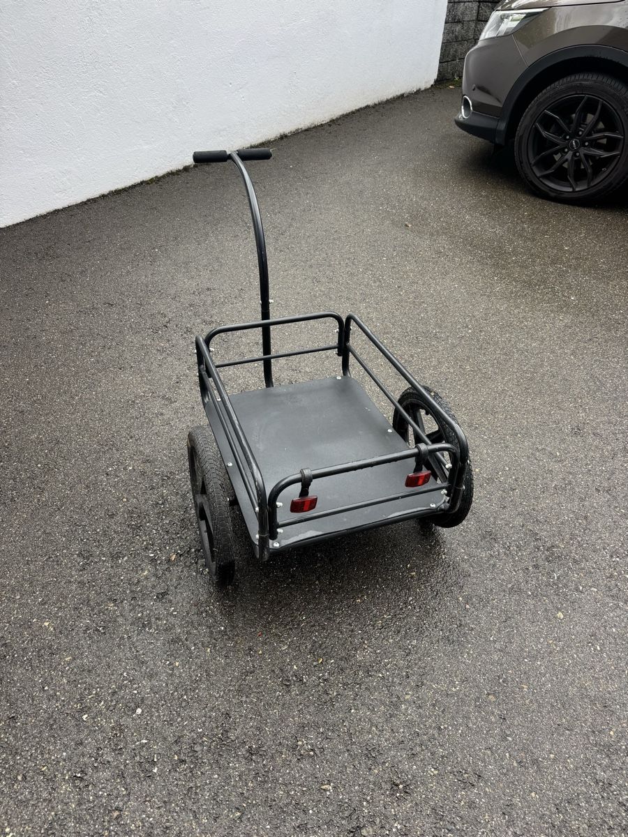 Rimorchi: Transportanhänger – Usato da Berg SG venduto da cil_p8z9