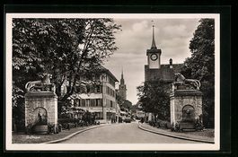 Zofingen, Teilansicht mit Löwen und Kir