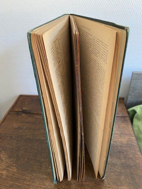 Libri: BUCH  SCHÜTZENFEST  BERN  1885 – Usato da Chur venduto da silbermon 9